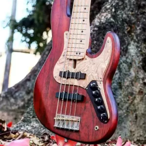 JAZZ BASS GARCIA'S 5C-  24 TRASTES