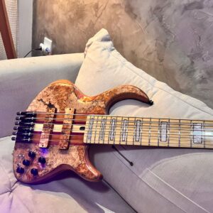tb1 headless 6c signature peu cavalgante